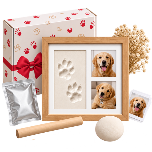DIY Pet Paw Print Kit